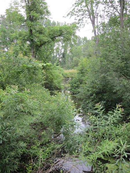 Click on the photo to see a larger photo